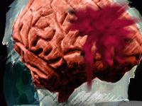 CSI: Deadly Intent – The Hidden Cases (Nintendo DS) CSI: Deadly Intent – The Hidden Cases (Nintendo DS)